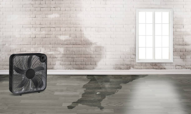 Best Water damage restoration near me  in Mathis, TX