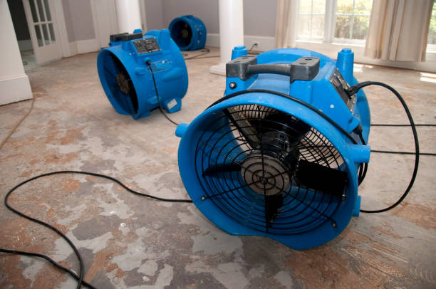 Best Flood restoration services  in Mathis, TX