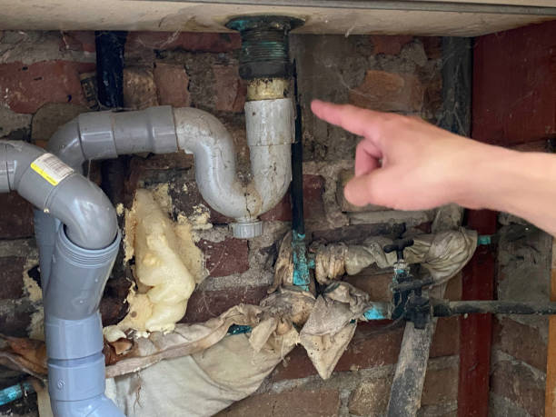 Best Flooded house restoration  in Mathis, TX