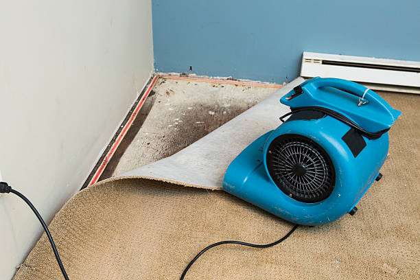  Mathis, TX Water damage restoration Pros
